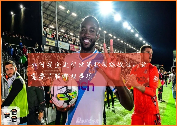 如何安全进行世界杯买球投注，你需要了解哪些事项？