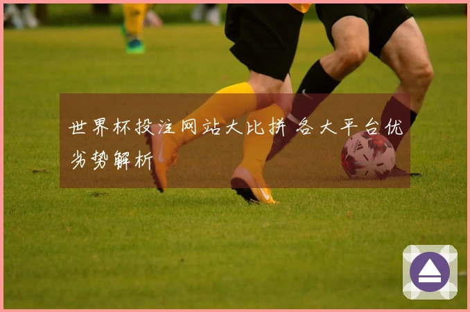 世界杯投注网站大比拼 各大平台优劣势解析
