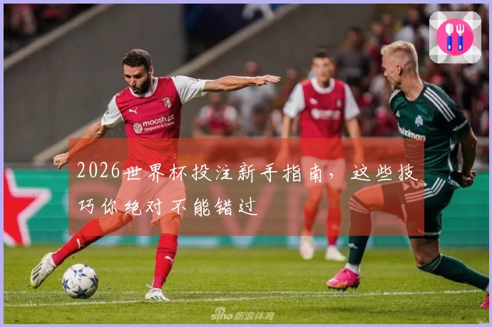 2026世界杯投注新手指南，这些技巧你绝对不能错过