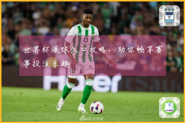 世界杯滚球入口攻略，助你畅享赛事投注乐趣