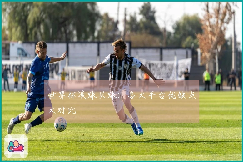 世界杯滚球买球：各大平台优缺点大对比