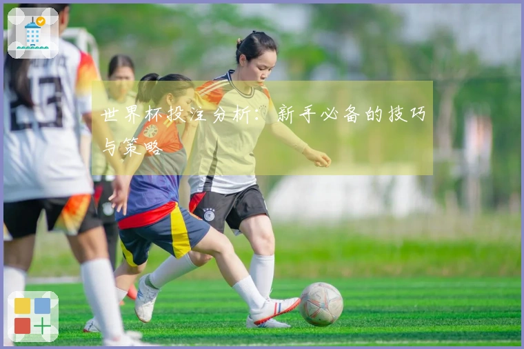 世界杯投注分析:新手必备的技巧与策略