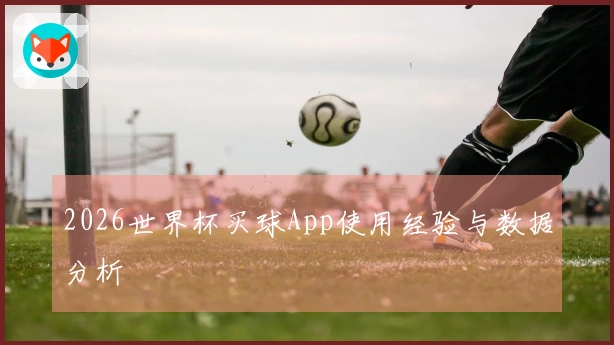 2026世界杯买球App使用经验与数据分析