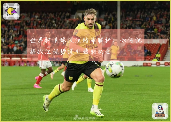 世界杯滚球投注赔率解析：如何把握投注优势提升盈利机会