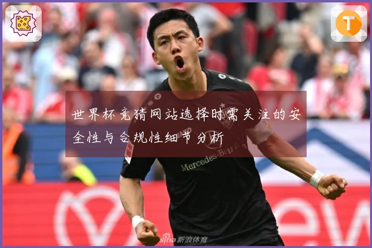 世界杯竞猜网站选择时需关注的安全性与合规性细节分析