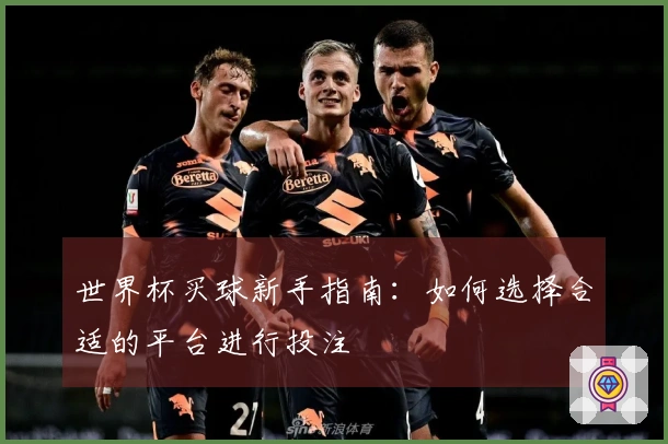 世界杯买球新手指南：如何选择合适的平台进行投注