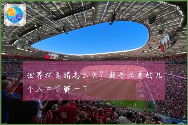 世界杯竞猜怎么买？新手必看的几个入口了解一下