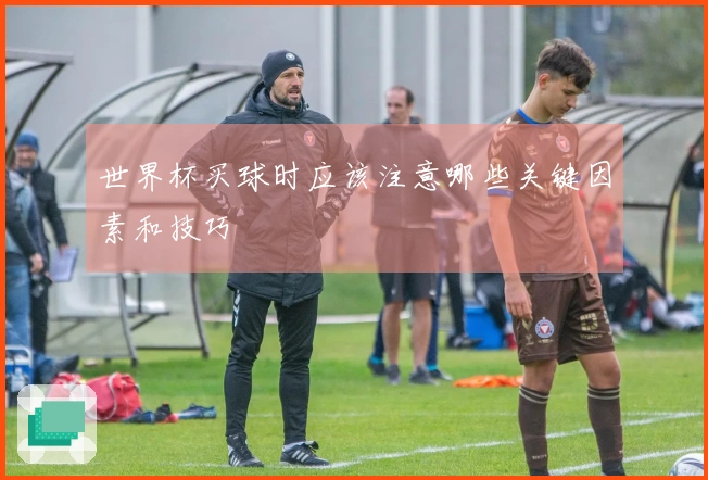 世界杯买球时应该注意哪些关键因素和技巧