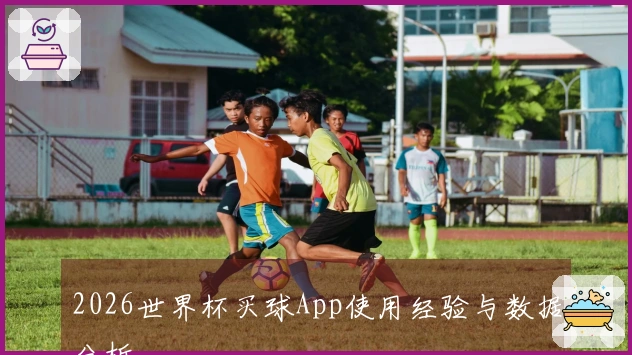 2026世界杯买球App使用经验与数据分析