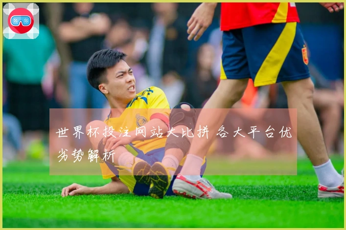 世界杯投注网站大比拼 各大平台优劣势解析