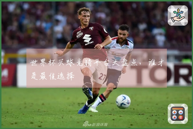 世界杯买球竞猜平台大盘点,谁才是最佳选择