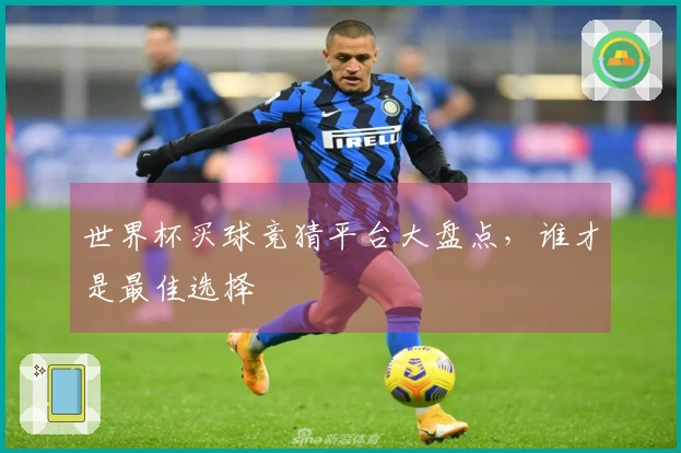 世界杯买球竞猜平台大盘点，谁才是最佳选择