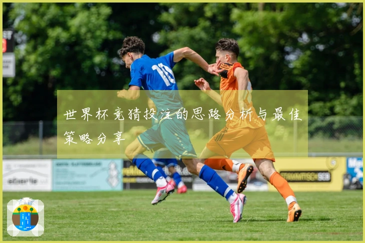 世界杯竞猜投注的思路分析与最佳策略分享
