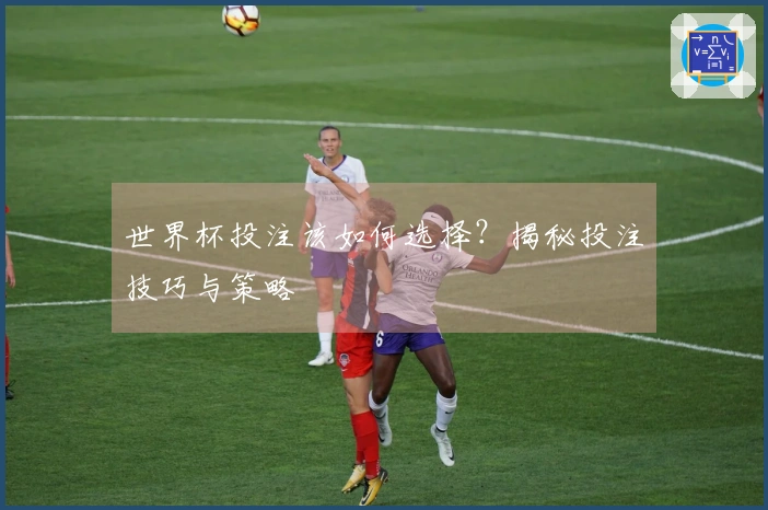 世界杯投注该如何选择？揭秘投注技巧与策略