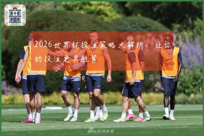 2026世界杯投注策略大解析，让你的投注更具胜算