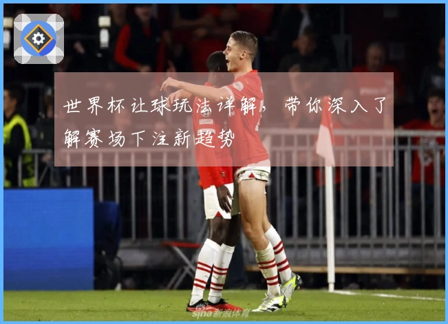 世界杯让球玩法详解，带你深入了解赛场下注新趋势