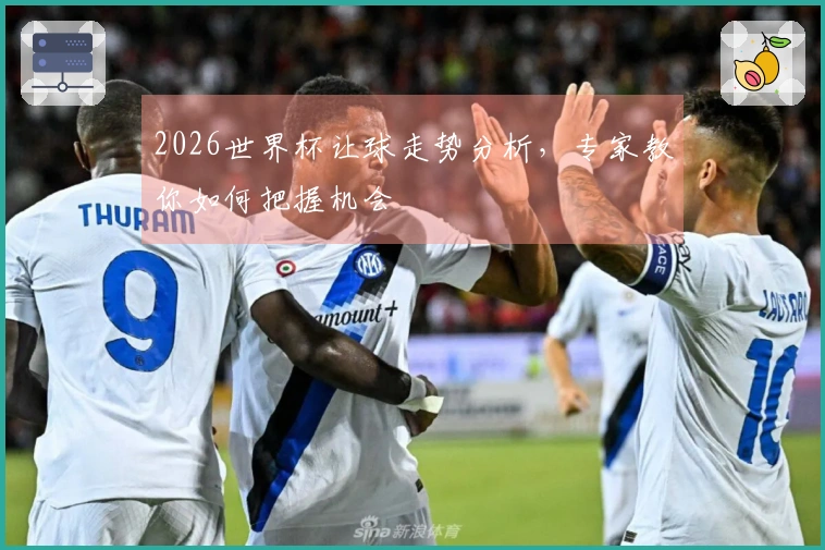 2026世界杯让球走势分析，专家教你如何把握机会